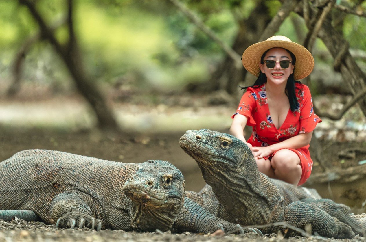 Surga Wisata Dunia Pulau Komodo di Nusa Tenggara Timur