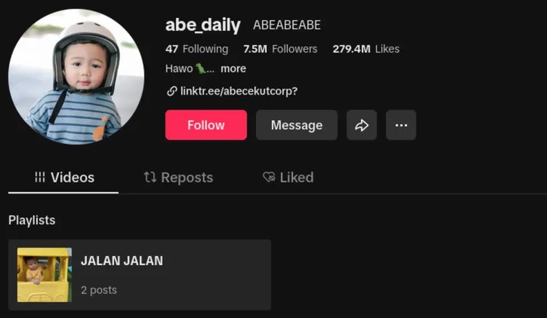 Tiktokers Abe Daily Sabet Gelar Raising Creator of The Year 2024