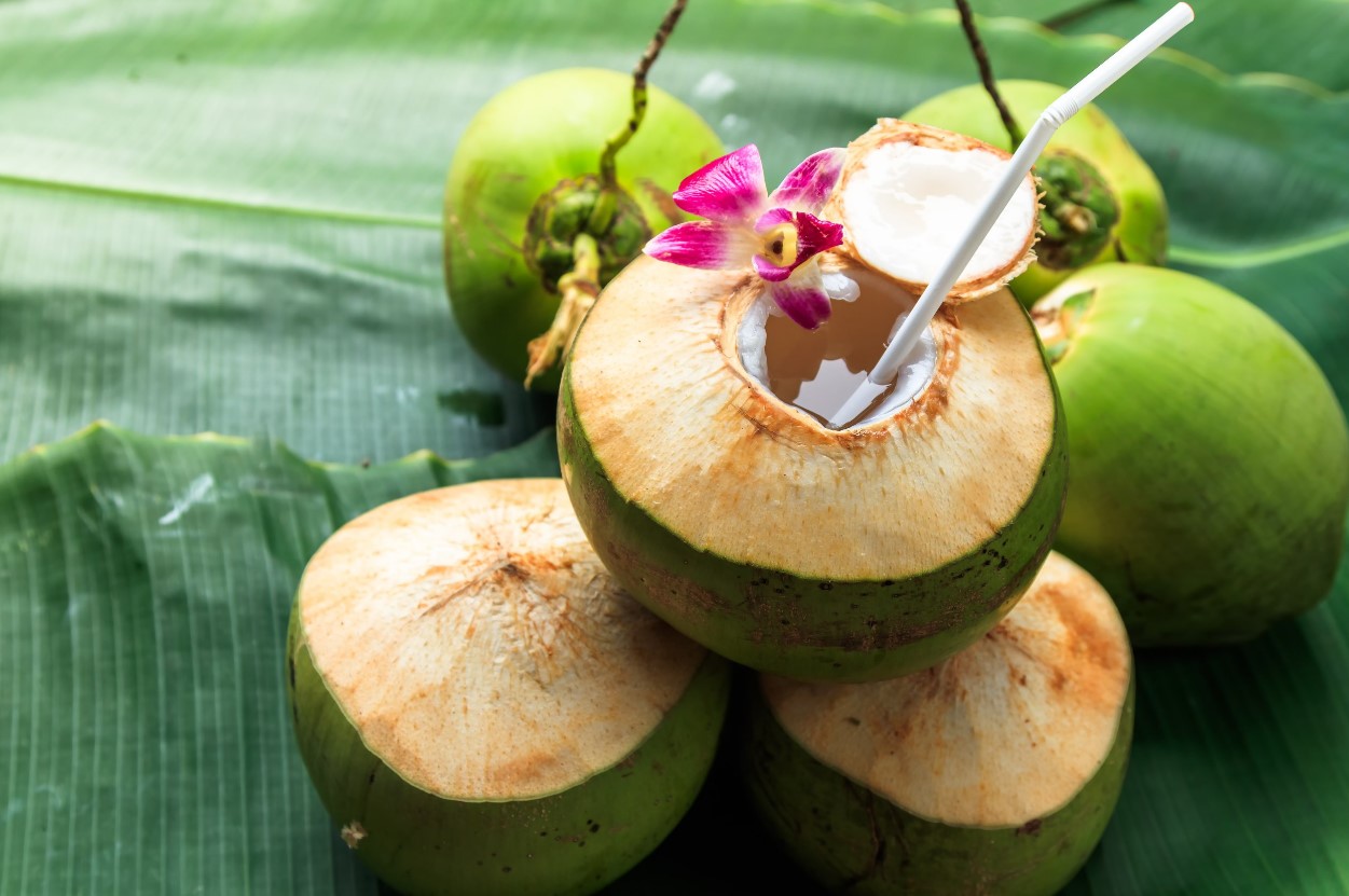 lustrasi manfaat air kelapa bagi tubuh manusia